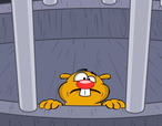 Escape-room-avec-un-hamster