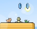Jeu-avec-un-cochon
