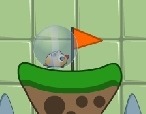 Jeu-avec-un-hamster
