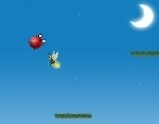 Jeu-avec-une-coccinelle
