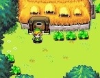 Jeu-zelda